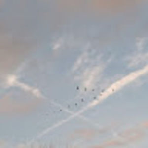 Meet your Posher, Jon